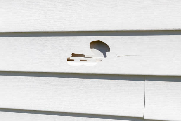 Best Insulated Siding Installation  in Melrose Park, IL