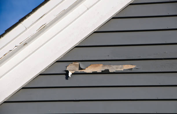 Best Siding Removal and Disposal  in Melrose Park, IL