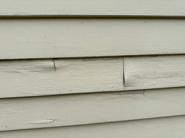 Best Steel Siding Installation  in Melrose Park, IL